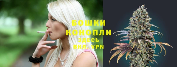 бошки Богданович