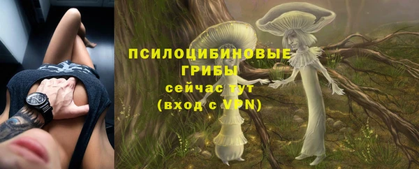 Альфа ПВП Белокуриха