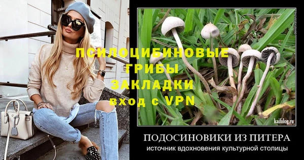 амф Богородицк
