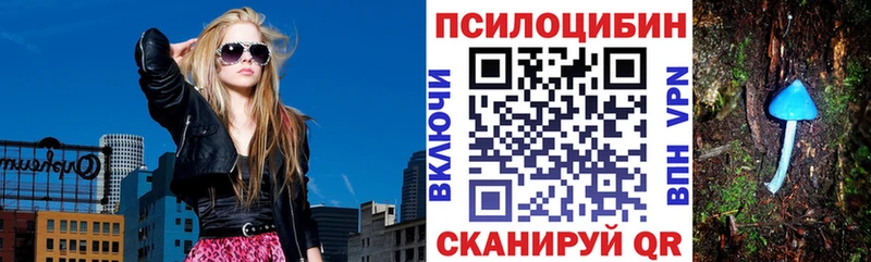 blacksprut как войти  Богородск  Галлюциногенные грибы MAGIC MUSHROOMS  наркота 